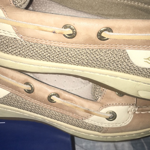 Sperry's angel fish (SEND OFFERS) - Picture 5 of 5